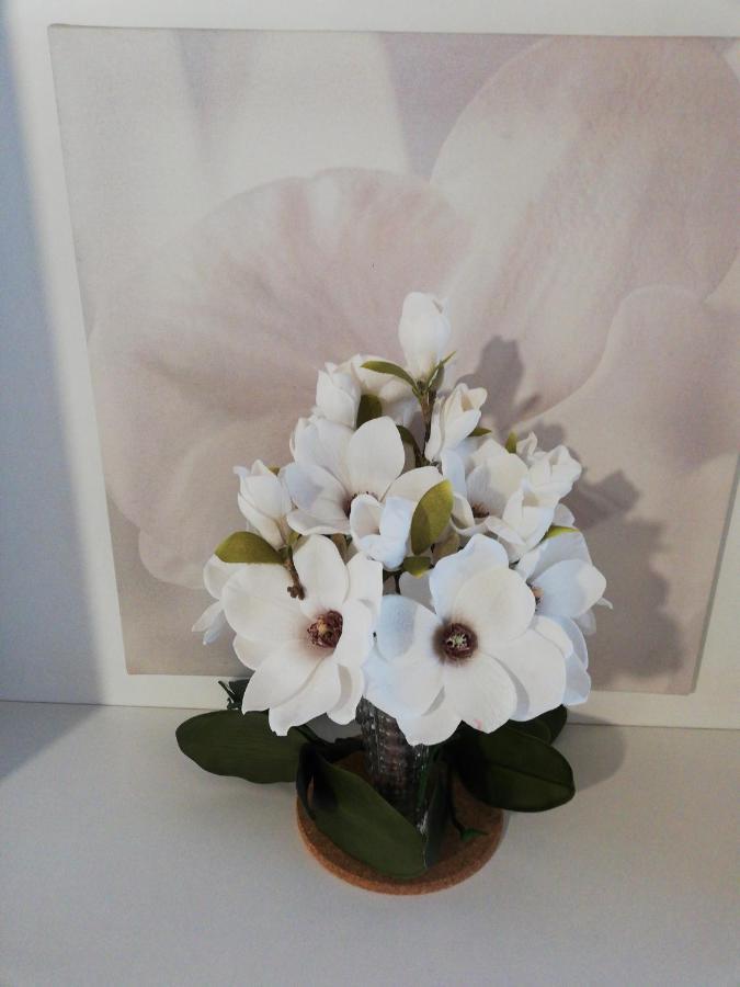 גאלארטה B&B Le Magnolie מראה חיצוני תמונה