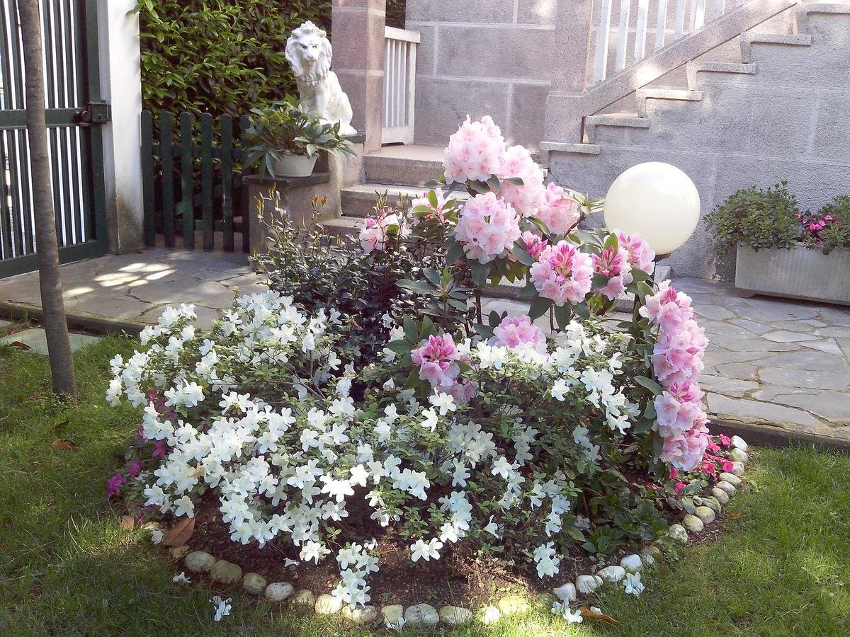 גאלארטה B&B Le Magnolie מראה חיצוני תמונה